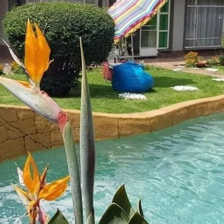 Alberton Guest House 외부 사진